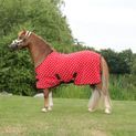 Supreme Products Dotty Fleece Rug - Rosette Red additional 4