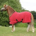 Supreme Products Dotty Fleece Rug - Rosette Red additional 3
