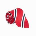 Supreme Products Show Tie - Red/Navy Stripe additional 1