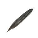 Supreme Products Single False Tail additional 1