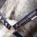 The Princess and the Pony Head Collar &amp; Lead Rope Set by Little Rider - Navy/Peach additional 1