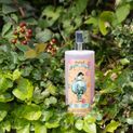 Thelwell Grooming Academy by Hy Equestrian - A Good All Rounder Tack Cleaner additional 4