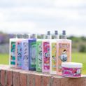 Thelwell Grooming Academy by Hy Equestrian - Merrylegs Time To Shine Shampoo additional 2