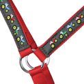 Tractor Collection Head Collar &amp; Lead Rope Set by Little Knight - Red/Charcoal Grey additional 2
