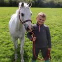 Tractor Collection Head Collar &amp; Lead Rope Set by Little Knight - Red/Charcoal Grey additional 3