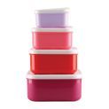 Tyrrell Katz Horse Snack Boxes by Hy Equestrian additional 4