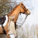 Coldstream Bowden Brushing Boots (Pack of 2) - Latte additional 10