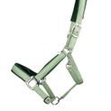 Hy Equestrian Mermaid Shimmer Head Collar and Lead Rope Set - Mint Green additional 3