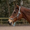 Hy Equestrian Rope Halter - Thick - Cob/Full additional 4