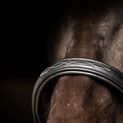 Propresicce Softy Leather Head Collar By Hy Equestrian Black/Silver Hardware additional 3