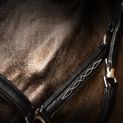 Propresicce Softy Leather Head Collar By Hy Equestrian Black/Silver Hardware additional 4