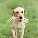 Benji &amp; Flo Country Dog Toys additional 2