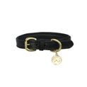 Benji &amp; Flo Deluxe Padded Leather Dog Collar - Black/Brass additional 3