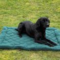 Benji &amp; Flo Essential Fleece Dog Bed - Green additional 5