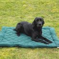 Benji &amp; Flo Essential Fleece Dog Bed - Green additional 2