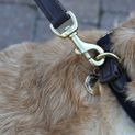 Benji &amp; Flo Interlaced Dog Lead - Blue additional 4