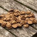 Benji &amp; Flo Little Paws Skin Soothe Conditioning Treats - Salmon additional 2