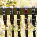 Benji &amp; Flo Sublime Polo Leather Dog Collar - Red/Navy/White additional 5