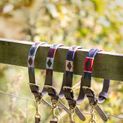 Benji &amp; Flo Sublime Polo Leather Dog Collar - Red/Navy/White additional 8