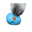 Carrot Ball additional 2