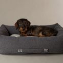 Scruffs Eco Eden Box Bed - Charcoal Grey additional 1