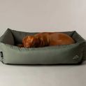 Scruffs Expedition Box Bed - Khaki Green additional 2