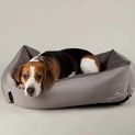 Scruffs Expedition Box Bed - Storm Grey additional 2