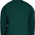 Casual Classics Combed 280 Core Sweatshirt - Rainforest additional 4