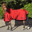 Whitaker R189S Rastrick 0G Lightweight Turnout Rug Red additional 4