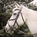 Whitaker Br050A Eastwood Mexican Bridle with Reins Black additional 1
