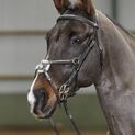 Whitaker Br052 Valencia Deluxe Mexican Brdle with Reins Black additional 1