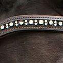 Whitaker Br073Bb Lynton Curved Diamante Browband Havana additional 1