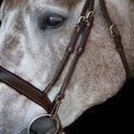 Whitaker Br102 Rome Bridle with Reins Havana additional 1