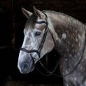 Whitaker Br103 Stockholm Anatomic Bridle Black additional 2