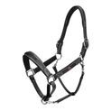 Whitaker Hc070 Chicago Leather Headcollar Black additional 3