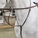 Whitaker Ma072 Lynton Running Martingale Havana additional 1