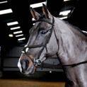 Whitaker Br056 Ready To Ride Mexican Bridle Black additional 4