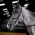 Whitaker Br056 Ready To Ride Mexican Bridle Black additional 1