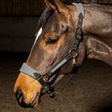 Whitaker Hc096 Harewood Headcollar Grey additional 2