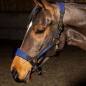 Whitaker Hc096 Harewood Headcollar Navy additional 2