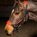 Whitaker Hc096 Harewood Headcollar Red additional 2