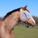 Equilibrium Field Relief Midi Fly Mask No Ears Grey/Yellow additional 4