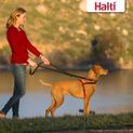 Halti Front Control Harness Black/Red additional 1