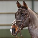 Whitaker Br052 Valencia Deluxe Mexican Bridle Havana additional 1