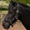 Gallop Diamond Padded Leather Headcollar Purple/Lilac additional 4