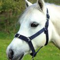 Gallop Headcollar &amp; Lead Rope Set Navy additional 3