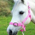 Gallop Headcollar &amp; Lead Rope Set Pink additional 1