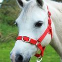 Gallop Headcollar &amp; Lead Rope Set Red additional 3