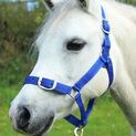 Gallop Headcollar &amp; Lead Rope Set Royal Blue additional 3