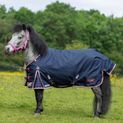 Gallop Ponie Duraproof 50g 5-Point Std Neck Turnout Turnout Rug Navy additional 2